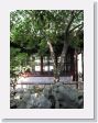 0520dSuzhouGarden - 20 * Suzhou's famous Master of the Nets garden * Suzhou's famous Master of the Nets garden